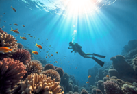 Scuba diving a safe activity when risks are managed
