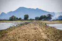 Northern districts under alert as heatwave conditions spread