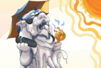 Five ways hotter weather will affect Singapore - and what you can do to cope