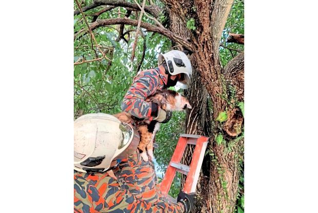 Unusual cases part of the job