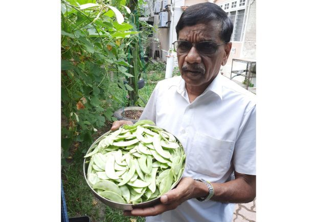 Grow your own veggies to soften the blow of pricey produce, urges CAP