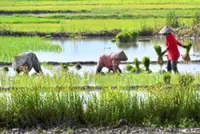 The smart way to food security isn’t self-sufficiency