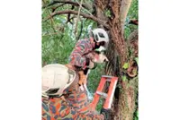 Unusual cases part of the job