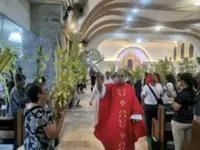 Rising fuel costs lift palm frond prices in the Philippines on Palm Sunday