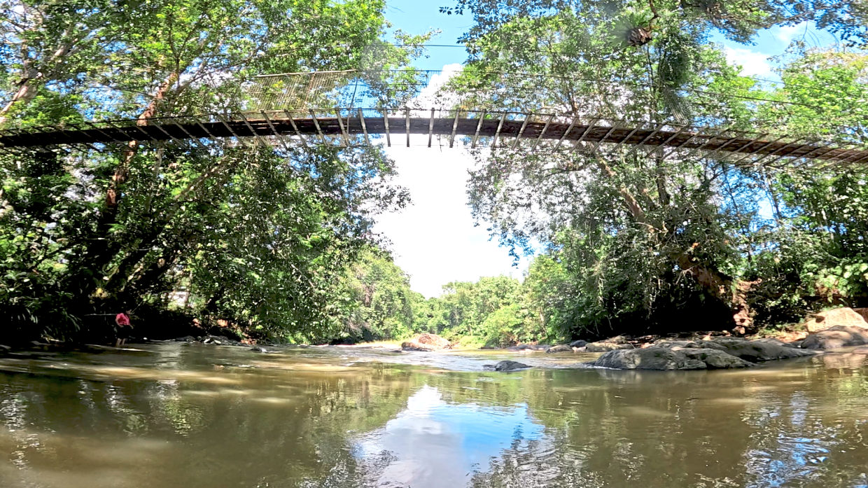 A suspension bridge crossing a river in Kampung Kopuron, part of the eco-tourism experience built around tagal.
