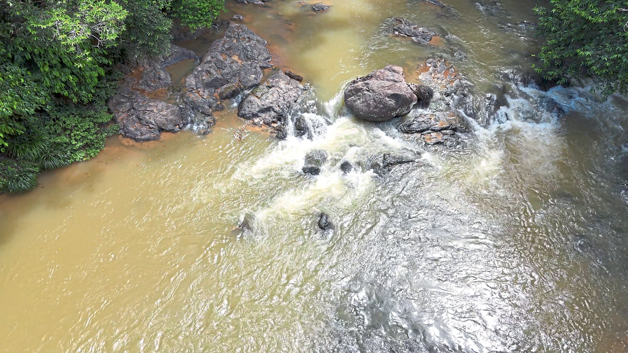 Aerial view of a river in Sabah’s interior, Telupid, where tagal helps restore natural balance.