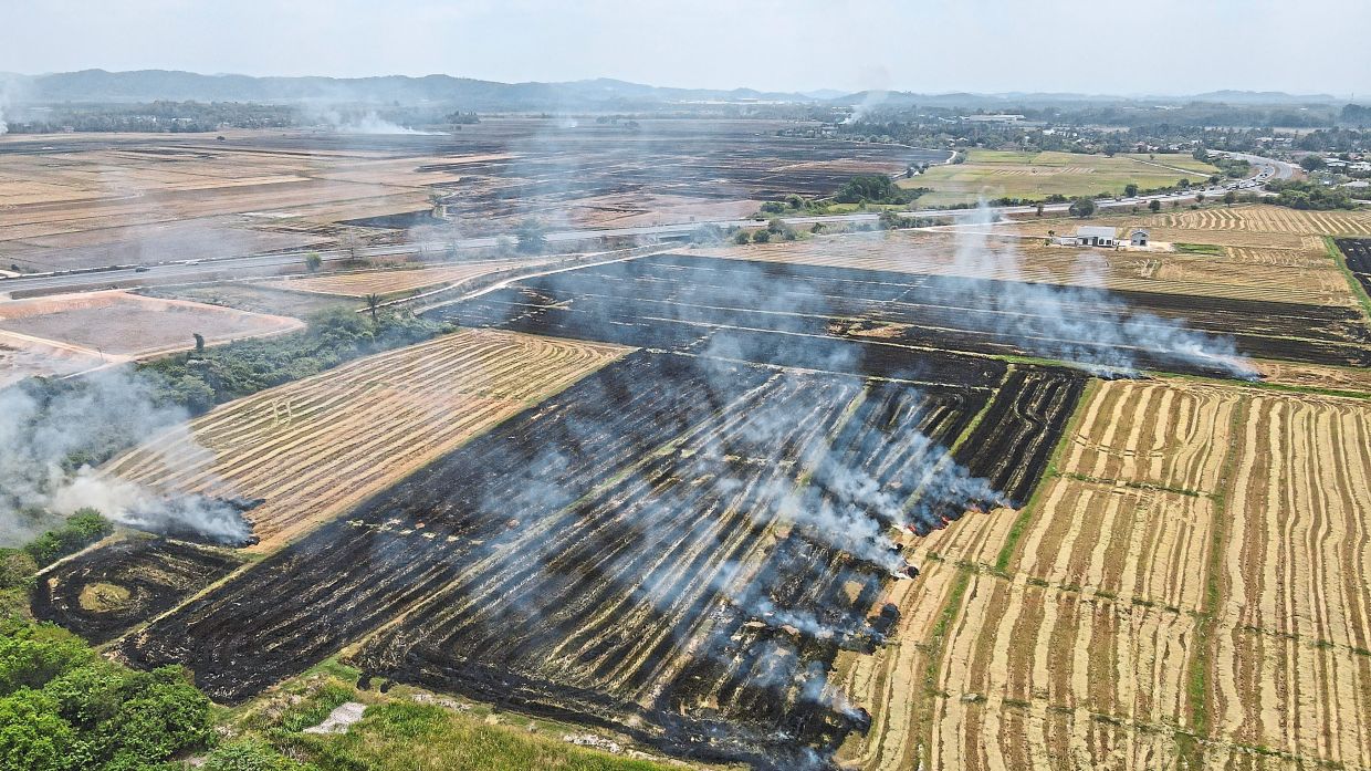 Rainfall to provide relief soon