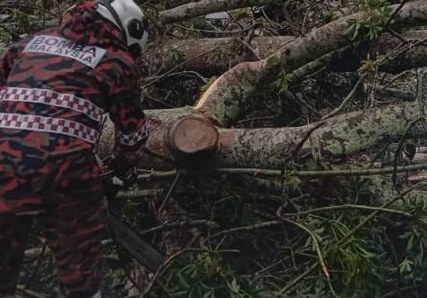 KL areas hit by fallen trees due to storms