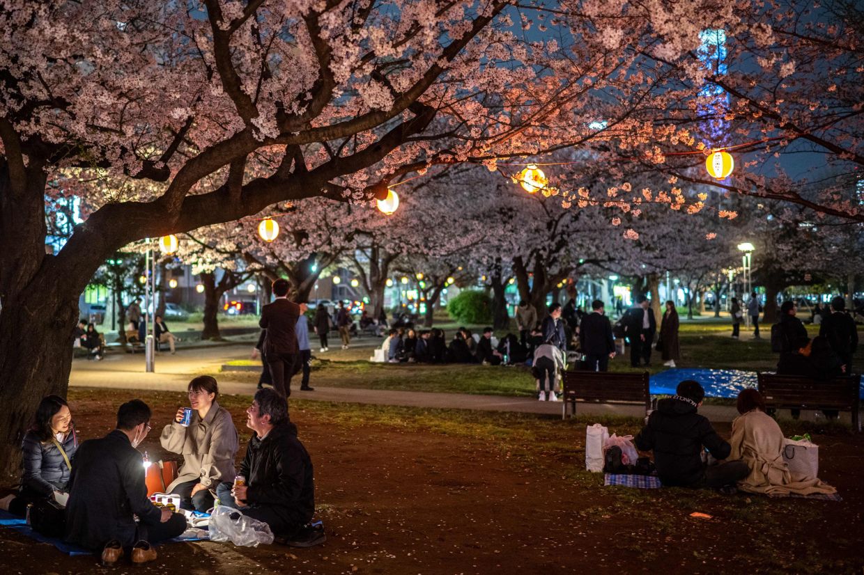 People gather for cherry blossom viewing, also known as Hanami, at Kinshi Park in Tokyo on Monday, March 30, 2026. -- Photo by Philip FONG / AFP