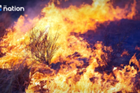 Thailand closes parks with high fire risk, warns of 20 years jail for those who burn illegally