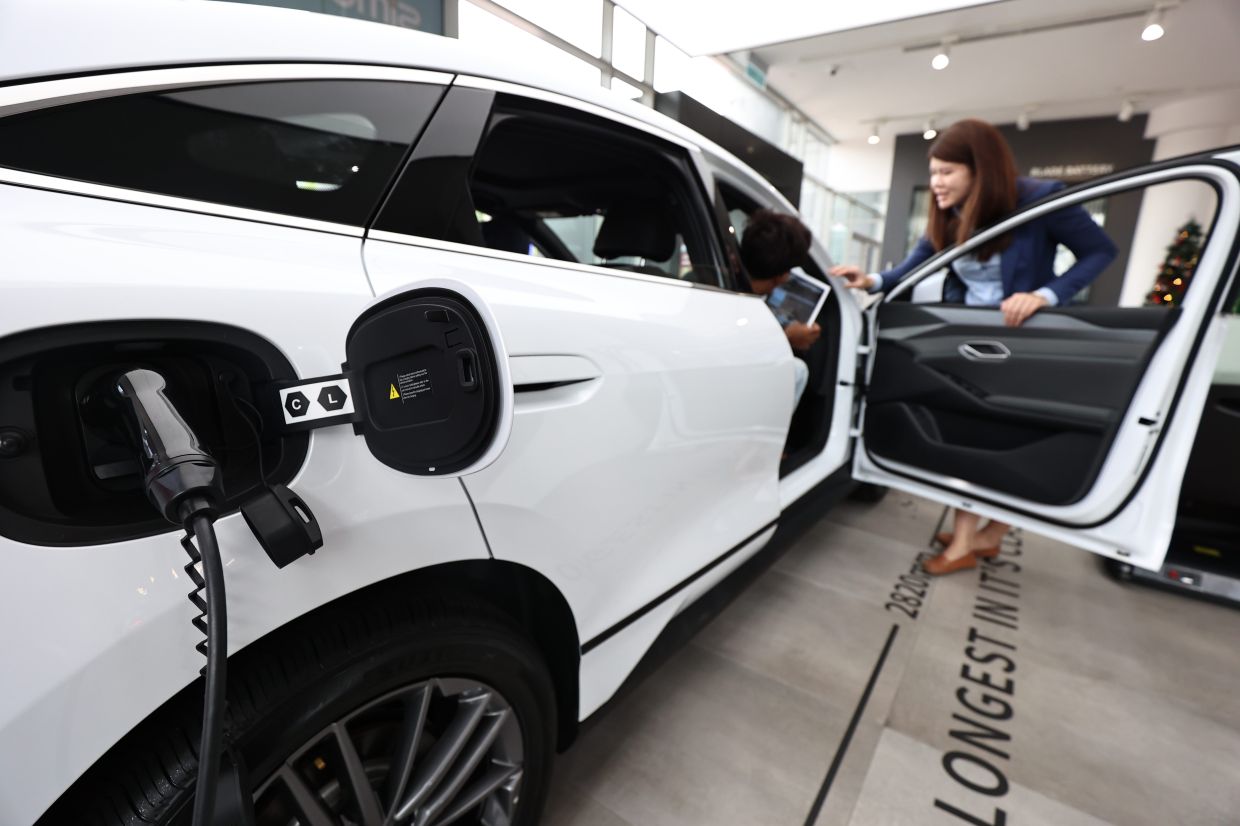 Malaysia überprüft Mindestpreispolitik für Elektrofahrzeugimporte ...