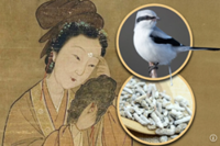 Why Empress Dowager Cixi and people in ancient China used animal faeces in beauty routines