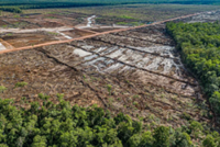 Deforestation surge and El Nino raise fears of a repeat of Indonesia’s 2015 haze crisis