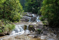 Teenager drowns at Gunung Ledang waterfall