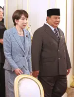 Prabowo sets 100GW solar power target 