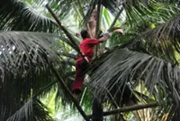 Philippines projects balance of payments under pressure amid heightened global risks