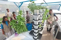 Community farm provides fresh alternative as food prices rise