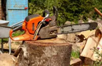 QuickCheck: Were chainsaws originally invented to aid childbirth?