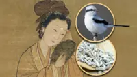 Why Empress Dowager Cixi and people in ancient China used animal faeces in beauty routines