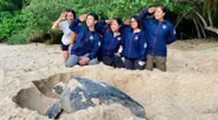 Turtle power drives Vietnam’s coastal conservation efforts