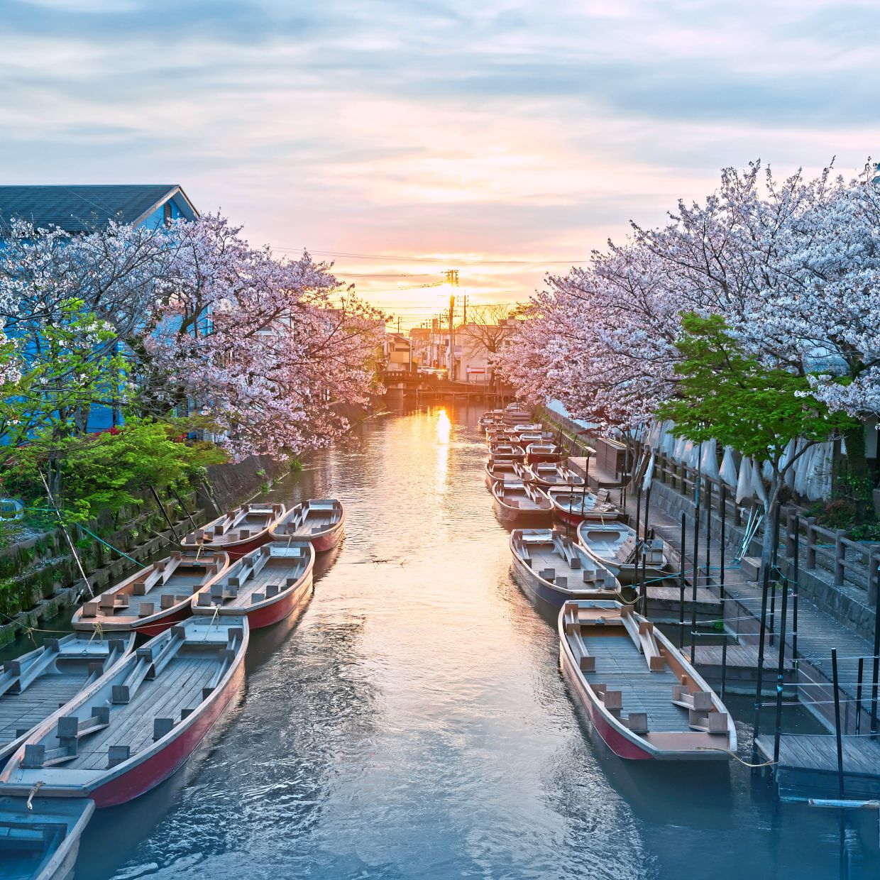 Dubbed “the Venice of Kyushu,” Yanagawa charms visitors with traditional boat rides through its scenic canals and historic riverside streets.