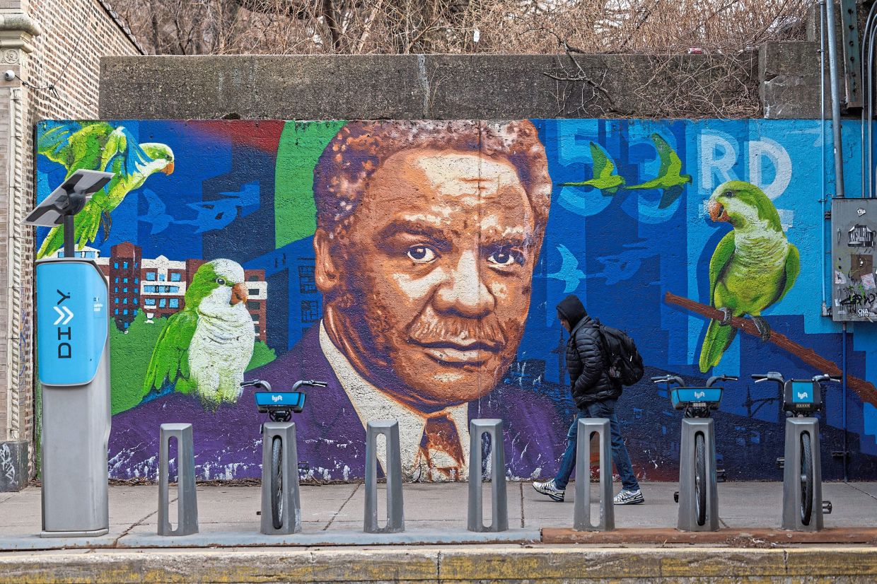 A mural of Washington with monk parakeets sits in the Hyde Park neighbourhood.