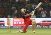 Cricket-Bengaluru's six-hitting machine David hits the roof