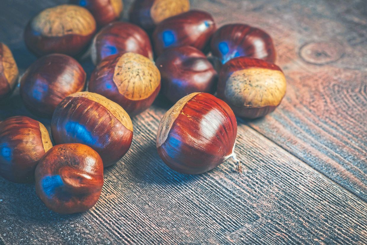 Chestnuts are a central part of Galician diets and many Galician stories and folklore revolve around this edible nut. — Ylanite Koppens/Pexels