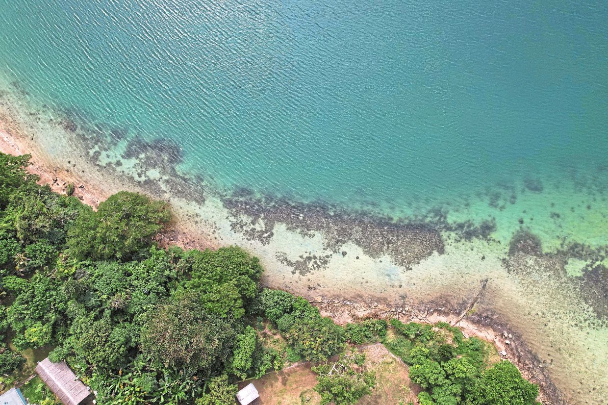Shorelines of Vanuatu islands have visibly retreated within a short period, with beaches eroded, coastal trees uprooted and some homes now barely about a metre from the sea at high tide. 