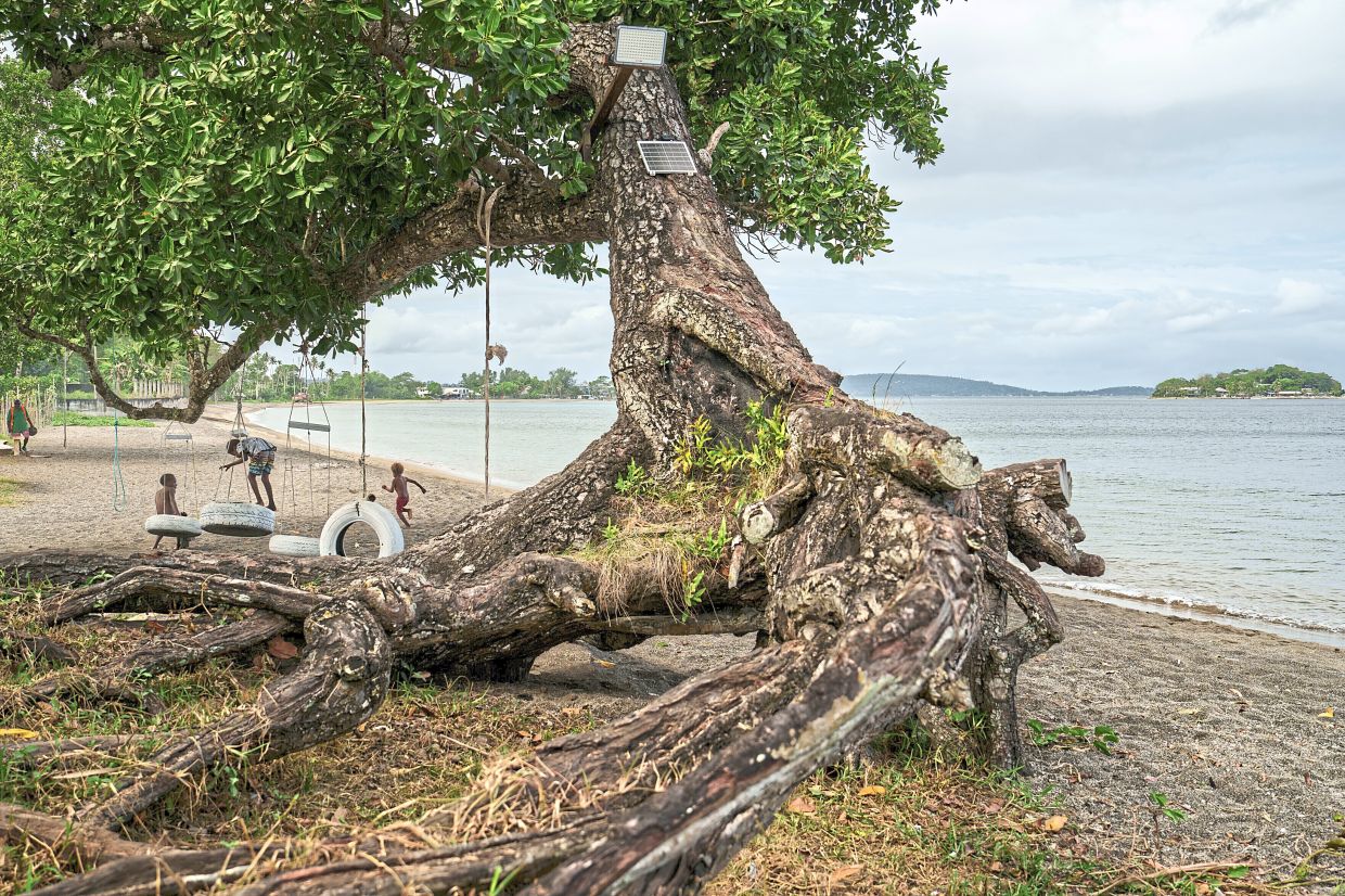 Children play on an uprooted tree along a beach in Mele, Vanuatu that was once lined with vegetation, now largely lost to storms, erosion and other environmental pressures. 