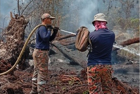 Rompin plantation fire nearly extinguished