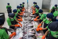 Myanmar exports over 463,000 tonnes of fishery products in FY 2025-26