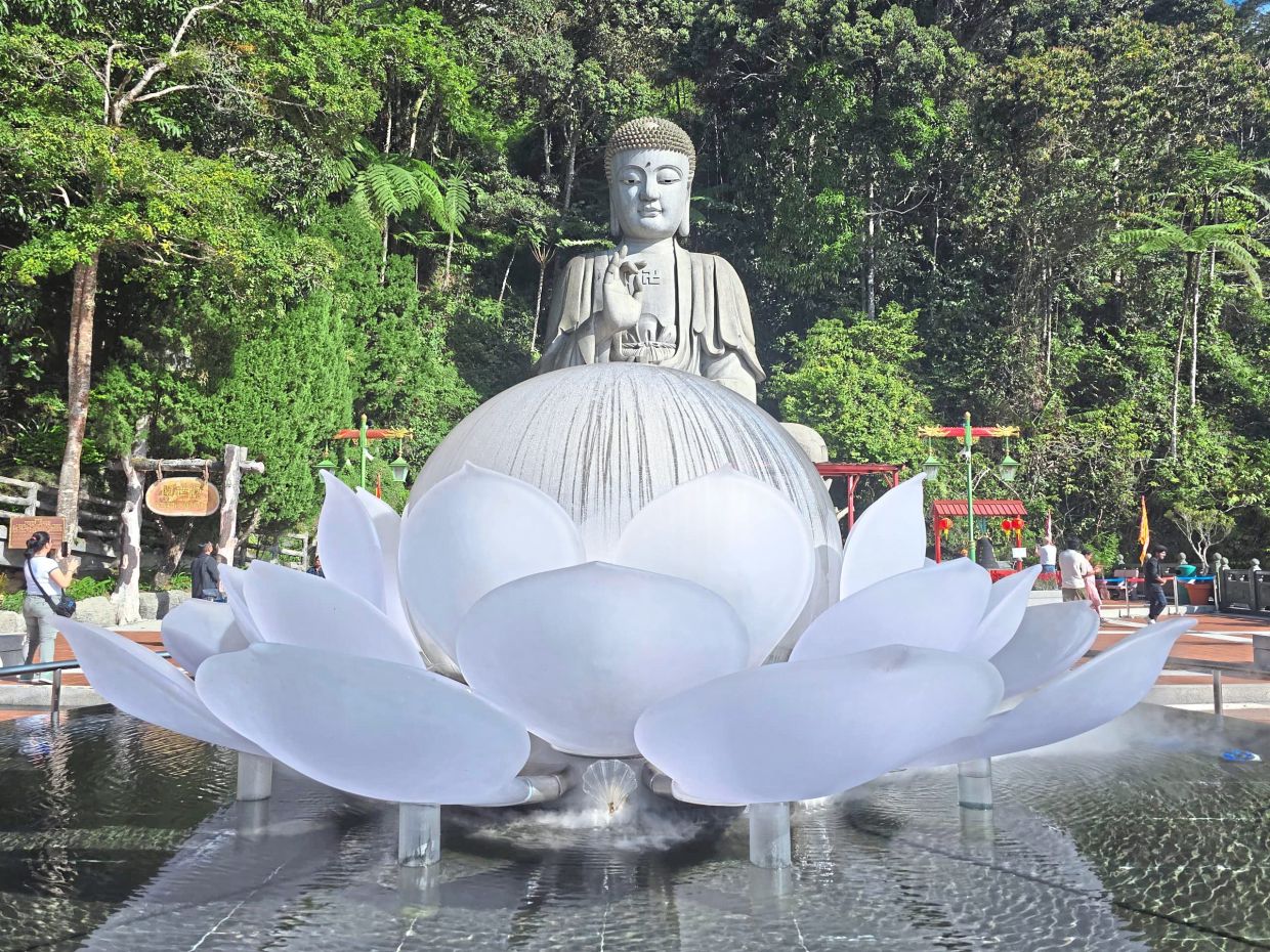 The Glazed Glass Lotus installation in front of the Giant Buddha.