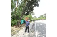 Shah Alam residents want quarterly tree audits to ensure safety