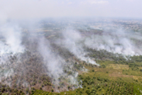 Indonesia braces for early dry season as forest fires rise