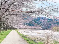 Malaysian travellers choose flexibility when planning holidays, survey says