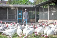 US graduate who chose turkey farming over therapy