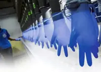 Glove maker WRP Asia Pacific to shut down over war disruptions