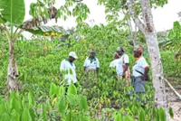 Tapping into a new freedom