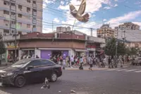 Fear in the Argentine melting pot