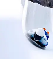 Malaysia's only skeleton racer aims for 2030 Winter Olympics