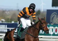 Horse racing-Champion Nick Rockett ruled out of Grand National