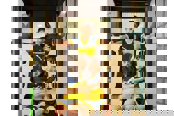 From curiosity to talent