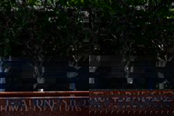 Disney plans to cut 1,000 jobs, WSJ reports 