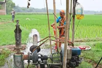 Diesel crunch hits padi farmers