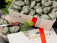 Hong Kong halts raw oyster sales from French brand over possible gastroenteritis link