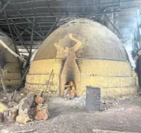 From a pest repellent to treating ringworm and other infections