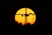 Losing jobs and minds? AI effects will be far-reaching, analysts warn