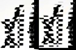 Elon Musk's xAI sues Colorado over state's new AI law