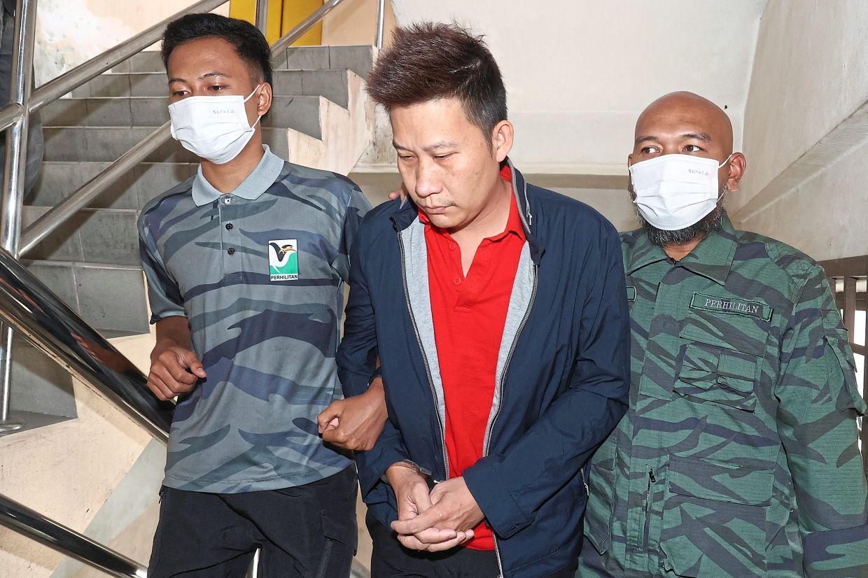 Hoang was found in possession of 1,022 gall bladders and 191 tongues of reticulated pythons, a protected wildlife species under the Wildlife Conservation Act 2010, without a licence.